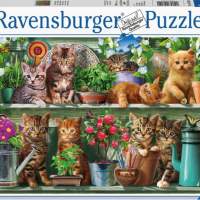 Ravensburger jigsaw puzzle cats on the shelf 500 pieces